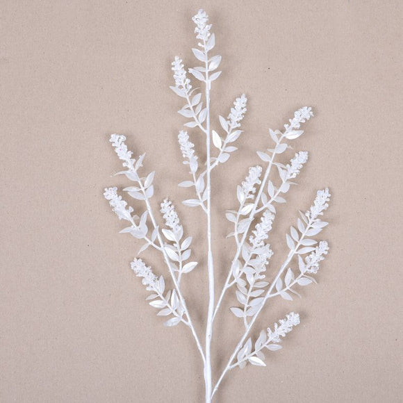 WINTER RUSCUS (PREORDER)