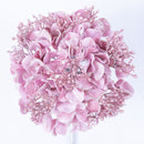 HYDRANGEA STEM (PREORDER)-4