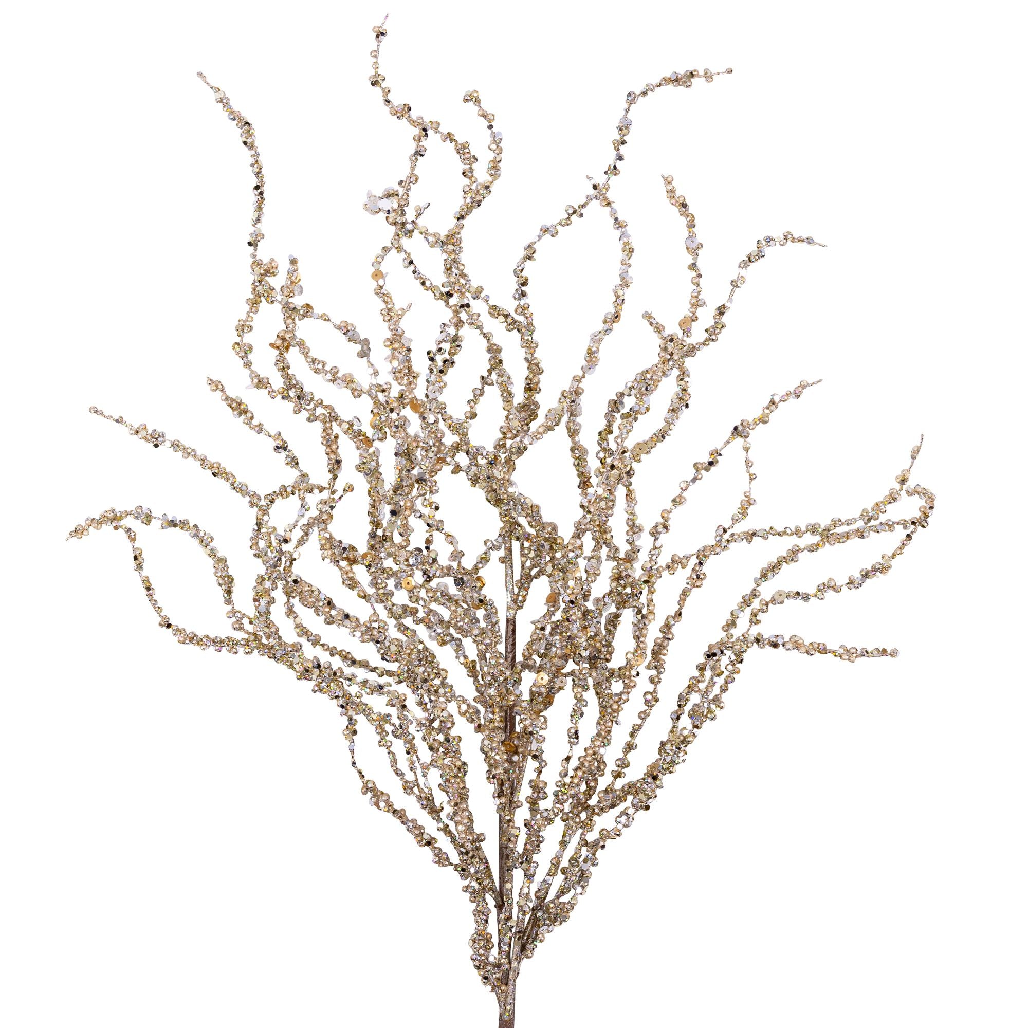 CURLY WILLOW (IN STOCK)