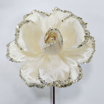 Buy ivory JUBILEE ROSE (PREORDER)