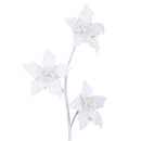 STAR SPRAY (IN STOCK)-5