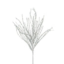 CURLY WILLOW (IN STOCK)-5