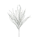 CURLY WILLOW (PREORDER)-5