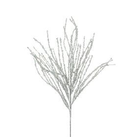 Buy silver CURLY WILLOW (PREORDER)