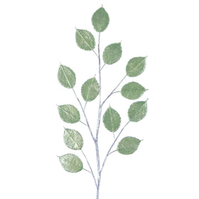 Buy olive GILDED LUNARIA (PREORDER)