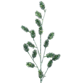 Buy olive SHERWOOD PINE (PREORDER)