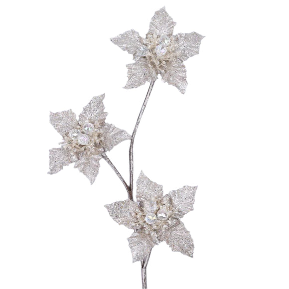 STAR SPRAY (IN STOCK)