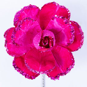 Buy hot-pink JUBILEE ROSE (PREORDER)