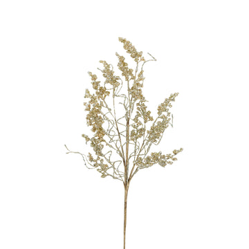 Buy champagne CRYSTAL BERRIES (IN STOCK)