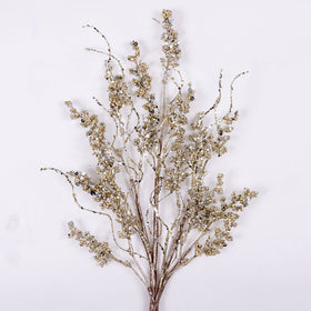 Buy platinum CRYSTAL BERRIES (IN STOCK)