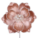 MYSTIC GRAND MAGNOLIA (IN STOCK)-1