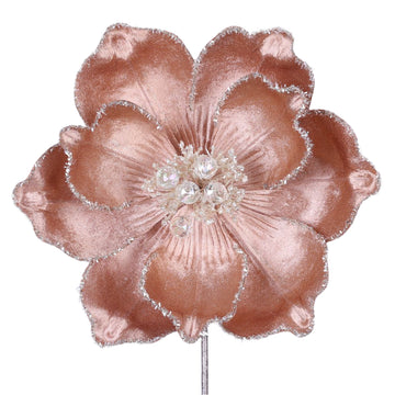 MYSTIC GRAND MAGNOLIA (IN STOCK)