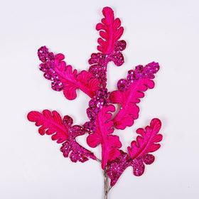 Buy hot-pink CHRISTMAS ACANTHUS (IN STOCK)