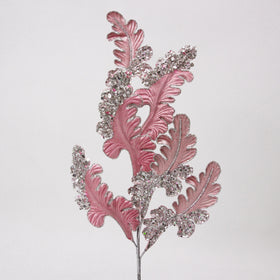 Buy dusty-rose CHRISTMAS ACANTHUS (IN STOCK)
