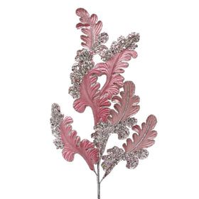 Buy dusty-rose CHRISTMAS ACANTHUS (PREORDER)