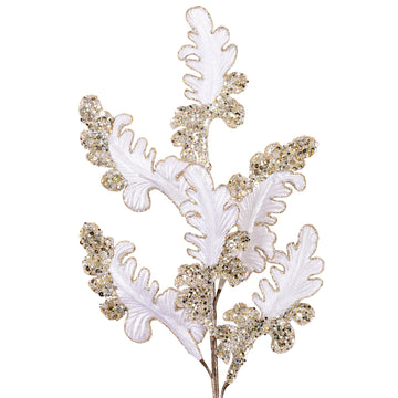 Buy white CHRISTMAS ACANTHUS (PREORDER)