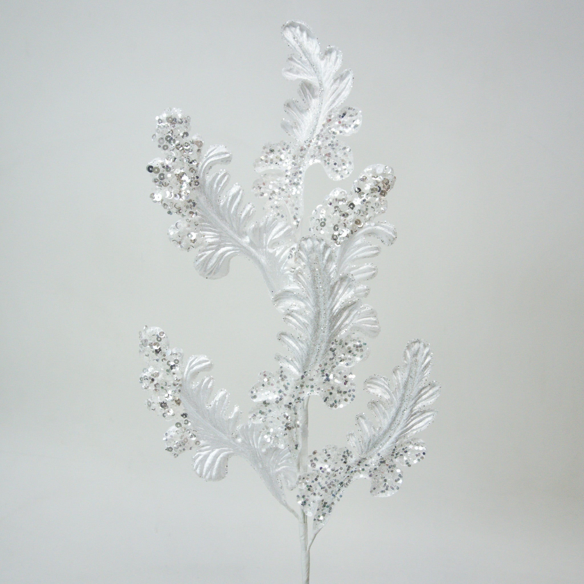 CHRISTMAS ACANTHUS (IN STOCK)