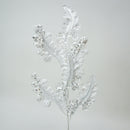 CHRISTMAS ACANTHUS (PREORDER)-19