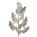 CHRISTMAS ACANTHUS (PREORDER)-5
