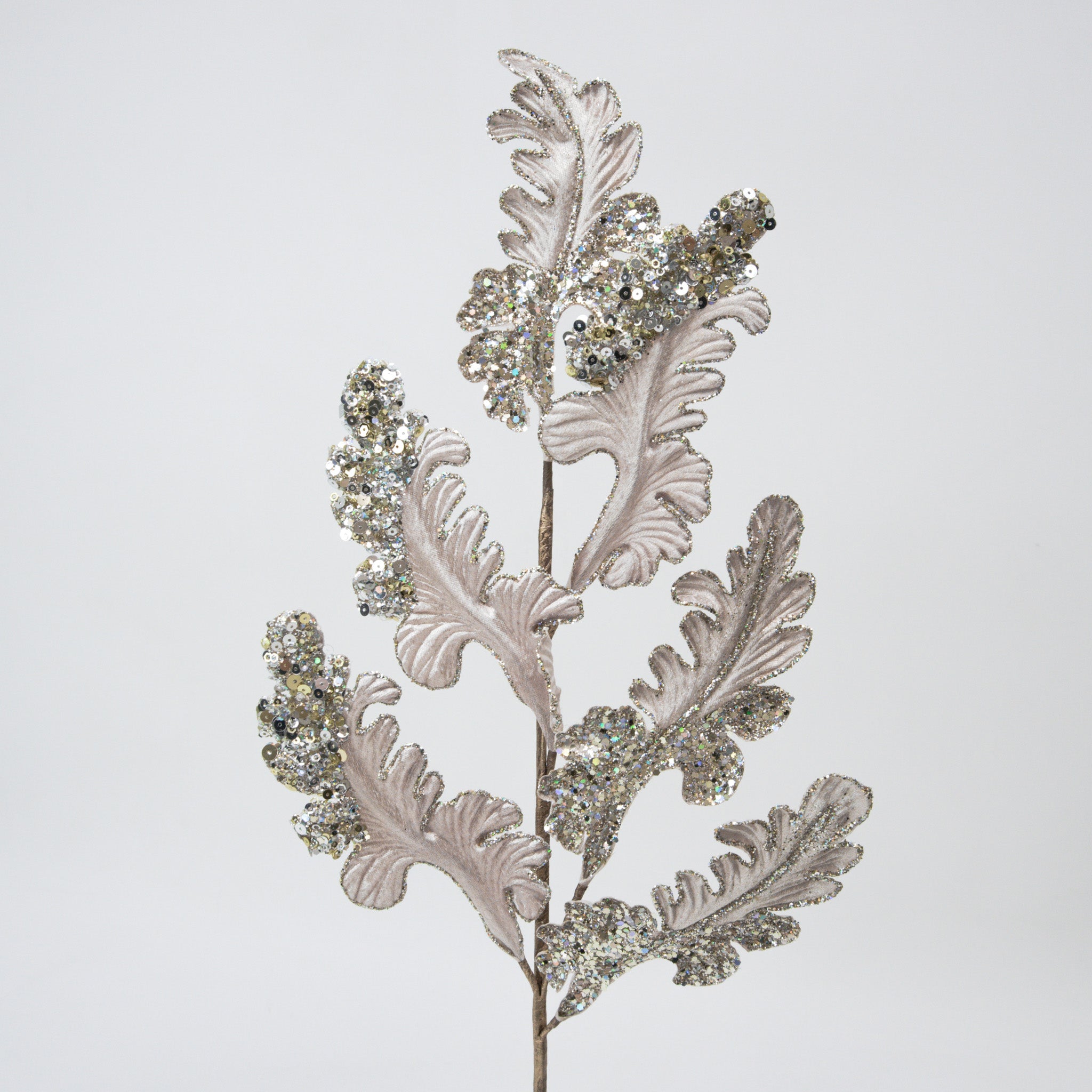 CHRISTMAS ACANTHUS (IN STOCK)