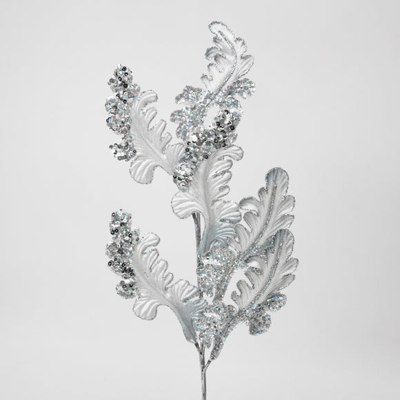 CHRISTMAS ACANTHUS (PREORDER)