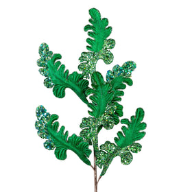 Buy emerald CHRISTMAS ACANTHUS (IN STOCK)