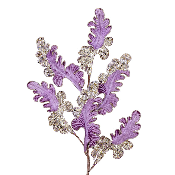 CHRISTMAS ACANTHUS (PREORDER)