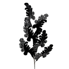 Buy black CHRISTMAS ACANTHUS (PREORDER)