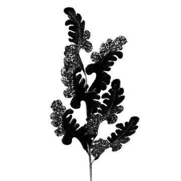 Buy black CHRISTMAS ACANTHUS (PREORDER)