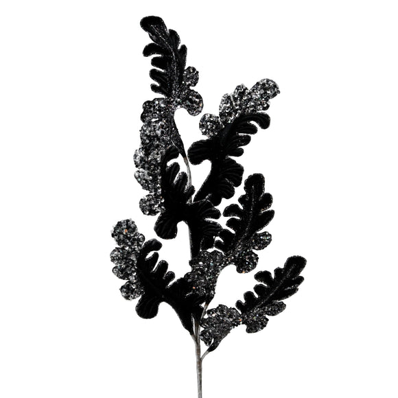 CHRISTMAS ACANTHUS (PREORDER)