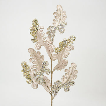 Buy champagne CHRISTMAS ACANTHUS (IN STOCK)