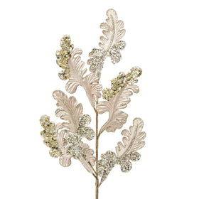 Buy champagne CHRISTMAS ACANTHUS (PREORDER)
