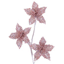 WINTER RAINBOW STAR SPRAY (IN STOCK)-2