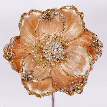 Buy champagne VICTORIAN MAGNOLIA STEM (PREORDER)