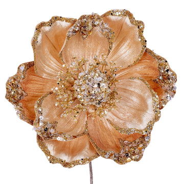 Buy champagne VICTORIAN MAGNOLIA STEM (IN STOCK)