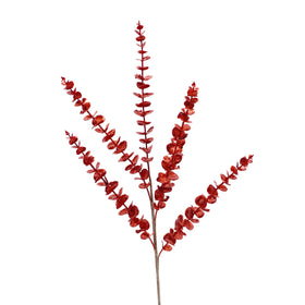 Buy red EUCALYPTUS (PREORDER)