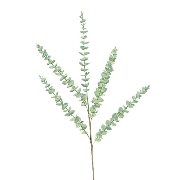 EUCALYPTUS (PREORDER)