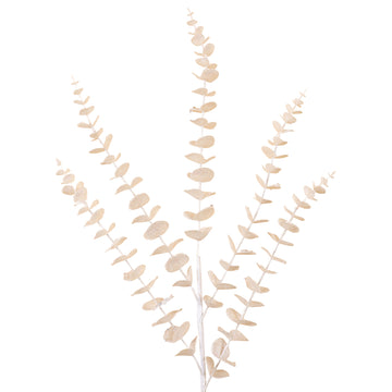 Buy white EUCALYPTUS (PREORDER)