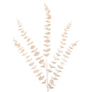 EUCALYPTUS (IN STOCK)-1