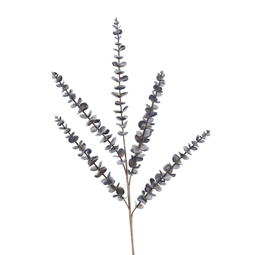 Buy pewter EUCALYPTUS (PREORDER)