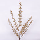 EUCALYPTUS (IN STOCK)-4