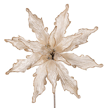 Buy ivory PLUSH POINSETTIA STEM (PREORDER)