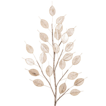 Buy ivory LUNARIA SPRAY (IN STOCK)