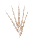 SPRINKLES SPRAY (IN STOCK)-1