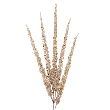 Buy champagne SPRINKLES SPRAY (IN STOCK)