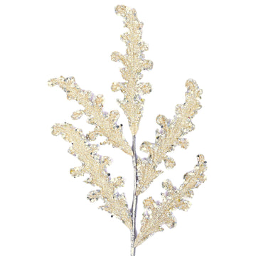 CRYSTAL ACANTHUS (PREORDER)