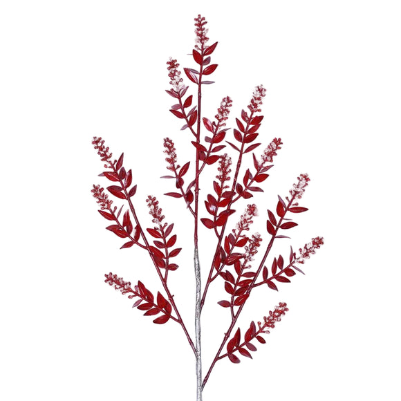 WINTER RUSCUS (PREORDER)