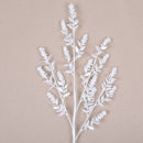 WINTER RUSCUS (PREORDER)-3