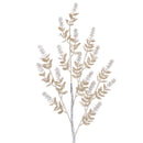 WINTER RUSCUS (PREORDER)-5