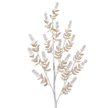 Buy gold WINTER RUSCUS (PREORDER)